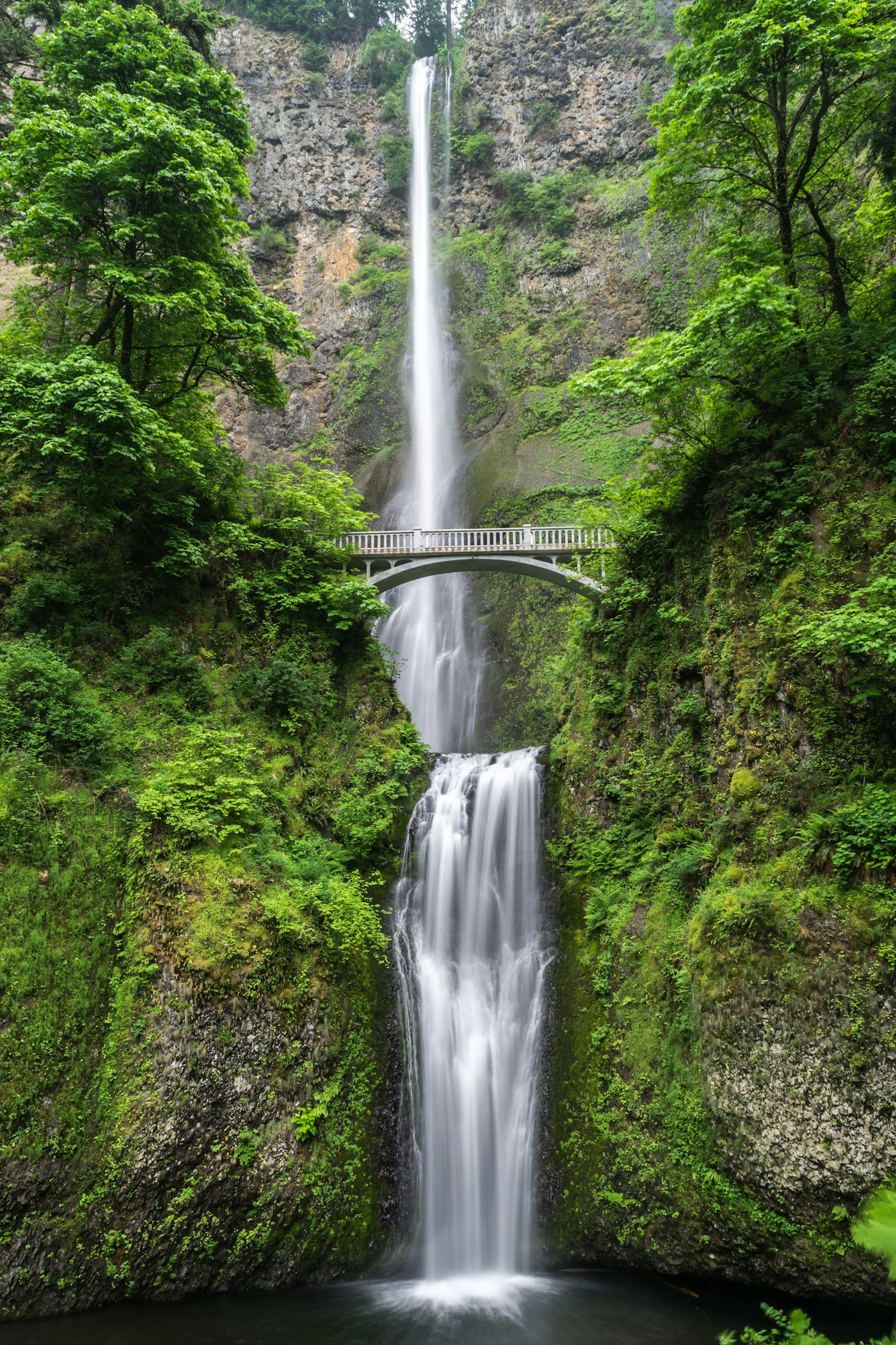 Clear forest waterfall stream representing smoother managed operations and steady business flow